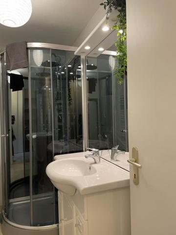 Appartement Cosy Hyper Centre Châteauroux Екстериор снимка