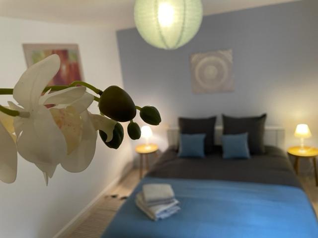 Appartement Cosy Hyper Centre Châteauroux Екстериор снимка